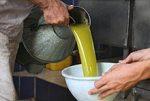 Активный ингредиент оливкового масла защищает мозг от деменции