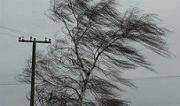 МЧС: На Ставрополье ожидается усиление ветра