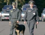 Личный состав ставропольской полиции несет службу в усиленном режиме