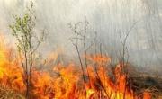 19 и 20 мая в трех районах края сохранится чрезвычайная пожароопасность