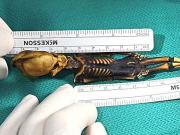 Ученые раскрыли загадку миниатюрной мумии «инопланетянина» из Чили