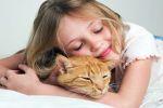 Аллергия на кошку: симптомы и методы борьбы