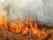 На востоке Ставрополья прогнозируется чрезвычайная пожароопасность