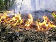 На Ставрополье пришла жара: возможны природные пожары
