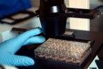 Лекарства против риновирусов нового поколения готовы к клиническим испытаниям