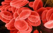 Как повысить гемоглобин народными способами
