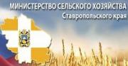 Ставрополье попало в тройку регионов по рейтингу информационной активности среди органов управления АПК