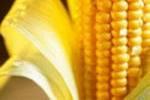 Полезный диетический продукт- кукуруза