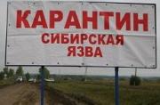 В Солнечнодольске введен режим ЧС после двух случаев заболевания сибирской язвой