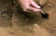Древнее золото сарматов нашли археологи в Ставропольском крае