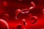 Как избежать железодефицитной анемии у детей?