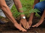 1000 деревьев высадит по улице Серова коллектив аграрного университета