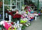 В Ставрополе ликвидировали широко известный цветочный рынок