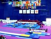 Пятигорчанин получил золото на чемпионате мира по прыжкам на акробатической дорожке