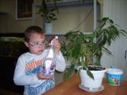 Ставропольских детей с&nbsp;ограниченными возможностями начали лечить цветоводством