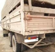 Госавтоинспекция края задержала грузовик с&nbsp;сотней больных бруцеллезом овец