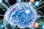 Ученые Телль-Авивского университета выявили интересную особенность работы человеческого мозга