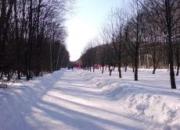 Спортивный праздник в Ставрополе состоится при любой погоде