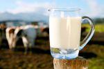 Вред коровьего молока