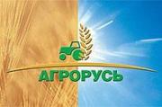 Ставрополье примет участие в агропромышленной выставке