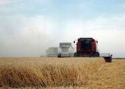 Ставропольский край получит федеральные субсидии на развитие сельского хозяйства