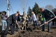 В честь юбилея краевой Думы депутаты посадили 20 деревьев в центре Ставрополя