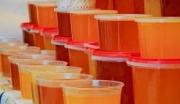 На Ставрополье за пять лет в полтора раза выросло производство мёда