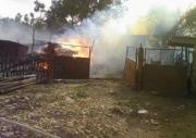 В ставропольском селе сгорела пасека с пчелиным семейством