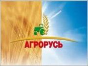 Подведены итоги участия Ставропольского края в агропромышленной выставке