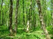 Весенний этап краевой экологической акции «Сохраним природу Ставрополья» набирает обороты