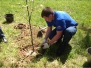 На Ставрополье продолжается акция «Посади дерево»