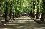 В ставропольском парке «Победы» найден повешенным мужчина