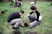 На Ставрополье этой весной было высажено более 800 тысяч деревьев
