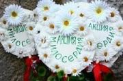 Благотворительная акция «Белый цветок» стартовала Ставрополе