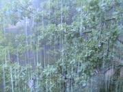Гидрометцентр: Май и июнь на Ставрополье характеризуются повышенной повторяемостью ливней