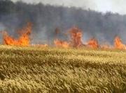 За три дня на Ставрополье произошло более 30 ландшафтных пожаров