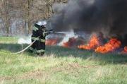 За прошедшие три дня пожарные более 30 раз выезжали на тушение ландшафтных пожаров