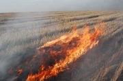 Пожарные продолжают бороться с ландшафтными пожарами в крае