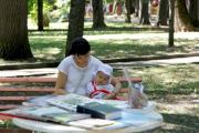 Летний читальный зал в Ставрополе набирает популярность