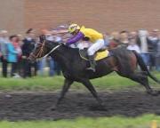 В Ставрополе прошли соревнования на Кубок главы города по конному спорту