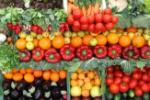 Современные продукты содержат на порядок меньше витаминов, чем 100 лет назад