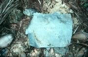 Идентифицирован фрагмент самолета Амелии Эрхарт