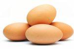 Яйца могут быть профилактикой рака