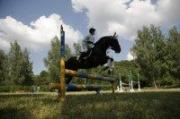 В Ставрополе состоится конный турнир по преодолению препятствий