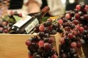 Праздник молодого вина впервые отметили на Ставрополье