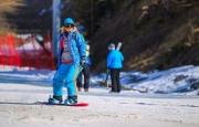 Команда из Ставрополя выиграла грант на строительство сноуборд-парка