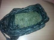 Сотрудники полиции изъяли у жителя Ставрополья 13,5 килограмма марихуаны