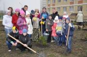 Четыре тысячи деревьев посадили жители Ставрополя за один субботник