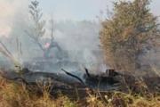 Проблему ландшафтных пожаров обсудили в правительстве края
