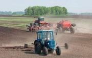 Более 400 сельхозтоваропроизводителей получили субсидии из бюджета